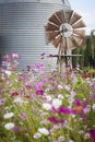 Antique Farm Windmill and Silo in a Flower Field Royalty Free Stock Photo