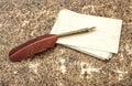 Antique feather pen and paper sheets. Retro style