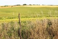 Antique Fencepost Royalty Free Stock Photo