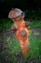 Antique Fire Hydrant