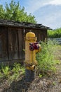 An antique fire hydrant with dual hose connections next to a barn Royalty Free Stock Photo