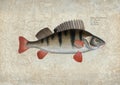 Antique fish plate Royalty Free Stock Photo