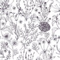 Antique Floral Seamless Pattern With Wild Flowers, Flowering Herbs And Herbaceous Plants Hand Drawn In Black And White