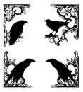 antique flourish elements forming black and white vintage frame design with border corners and raven birds