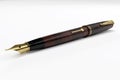 Antique fountain pen