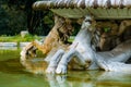 Antique fountain work of art in the form of a horse on a bowl of water acting Royalty Free Stock Photo