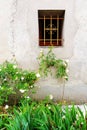 Antique french stone house window & white roses