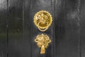 Antique gold or brass door knocker ornate Royalty Free Stock Photo