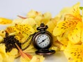 Antique gold pocket watch of the nineteenth century with yellow alstroemeria Royalty Free Stock Photo
