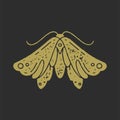 Antique golden butterfly with falling down wings and mustache decorative design grunge texture Royalty Free Stock Photo