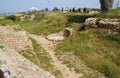 Antique greek ruins near park Apollonia, Israel