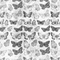 Antique grungy butterflies over french invoice collage background desaturated