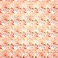 Antique grungy Vintage style botanical pink floral roses background on wood Royalty Free Stock Photo