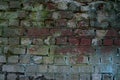 Antique half decayed brick and moss covered brick wall Royalty Free Stock Photo