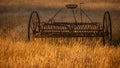 Antique hay rake in a farmers field at sunset. Royalty Free Stock Photo