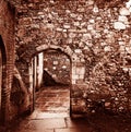 Antique Historic Secret Door in a Stone Wall