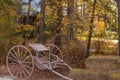 Antique Horse Cart in the woods Royalty Free Stock Photo