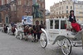 Antique horse-drawn carriages