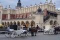 Antique horse-drawn carriages