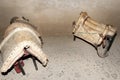 Antique Horse Saddles Royalty Free Stock Photo