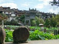 Antique houses building beautiful green lotus field