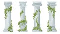 Antique ivy-covered classic greek columns. Cartoon ancient roman pillars with climbing ivy branches isolated flat vector Royalty Free Stock Photo