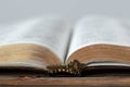 Antique key in front of open Holy Bible Book with golden pages on wooden background, close-up Royalty Free Stock Photo