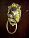 Antique knocker on a wooden door Royalty Free Stock Photo