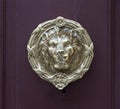Antique lion head pull handle knob on a vintage wooden red do Royalty Free Stock Photo