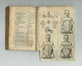 Antique medical book, biology and illustration anatomy sketch, human body drawing or medicine study research. Latin