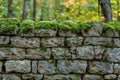 Antique mortared stone wall with moss growing, blending history and nature. AI generated. Royalty Free Stock Photo