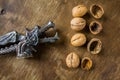 Antique nutcracker Dragon with walnuts Royalty Free Stock Photo