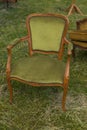 Antique old chair with carved, soft back green on the grass