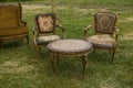 Antique old chairs and table with carved, soft back on a green background