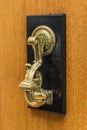 Antique old gothic door handle Royalty Free Stock Photo