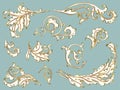 Antique ornament in style baroque of acanthus leaves. Vector set gold on blue