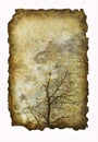 Antique paper with image of tree