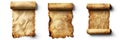 Antique Parchment Scrolls for Design and Mockups Three vintage parchment scrolls rolled and unrolled isolated on a white