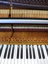 Antique piano interior parts Royalty Free Stock Photo