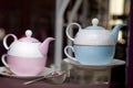 Antique pink and blue teacup