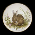 Antique plate with the image of animals. retro plate with hand painted