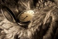 Antique pocket watch. Royalty Free Stock Photo