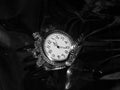 Antique pocket watch on a black and white photo Royalty Free Stock Photo