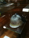 Antique Poland Fireman Hat Firefighting Helmet Macau Fire Services Museum Museu dos Bombeiros Health Safety PPE Equipment