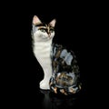 Antique porcelain figurine of a black cat.