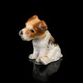 Antique porcelain figurine of a hunting dog. antique ceramic dog figurine Royalty Free Stock Photo