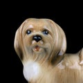 Antique porcelain figurine of a hunting dog. antique ceramic dog figurine Royalty Free Stock Photo