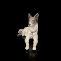 Antique porcelain figurine of a hunting dog. antique ceramic dog figurine Royalty Free Stock Photo