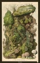 Antique print of a collection of strange fictional moss, lithograph style. Generative AI