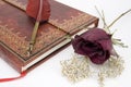 Antique Red Book with Dried Red Roses Royalty Free Stock Photo